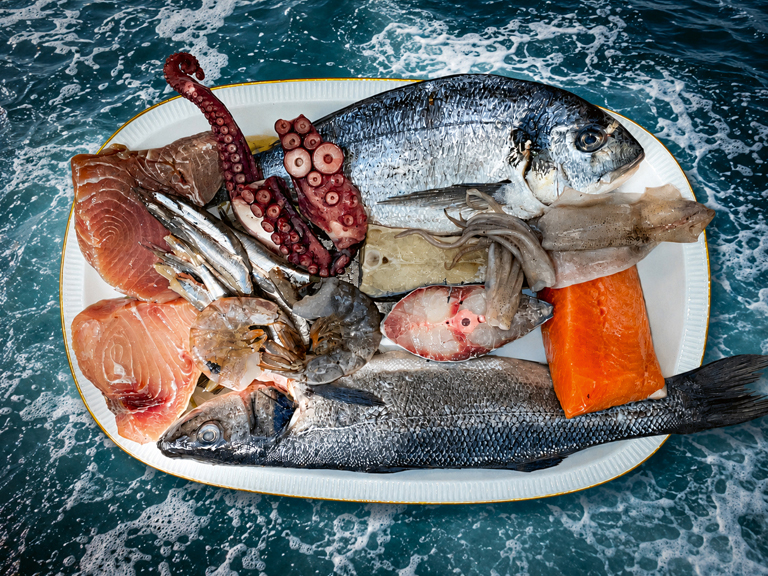 AHTAPOT FISCHBAR