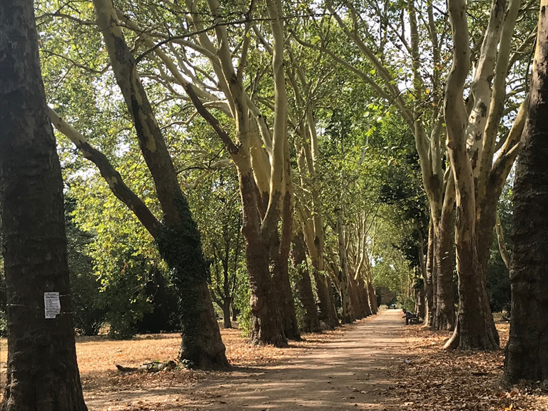 Anita-Berber-Park